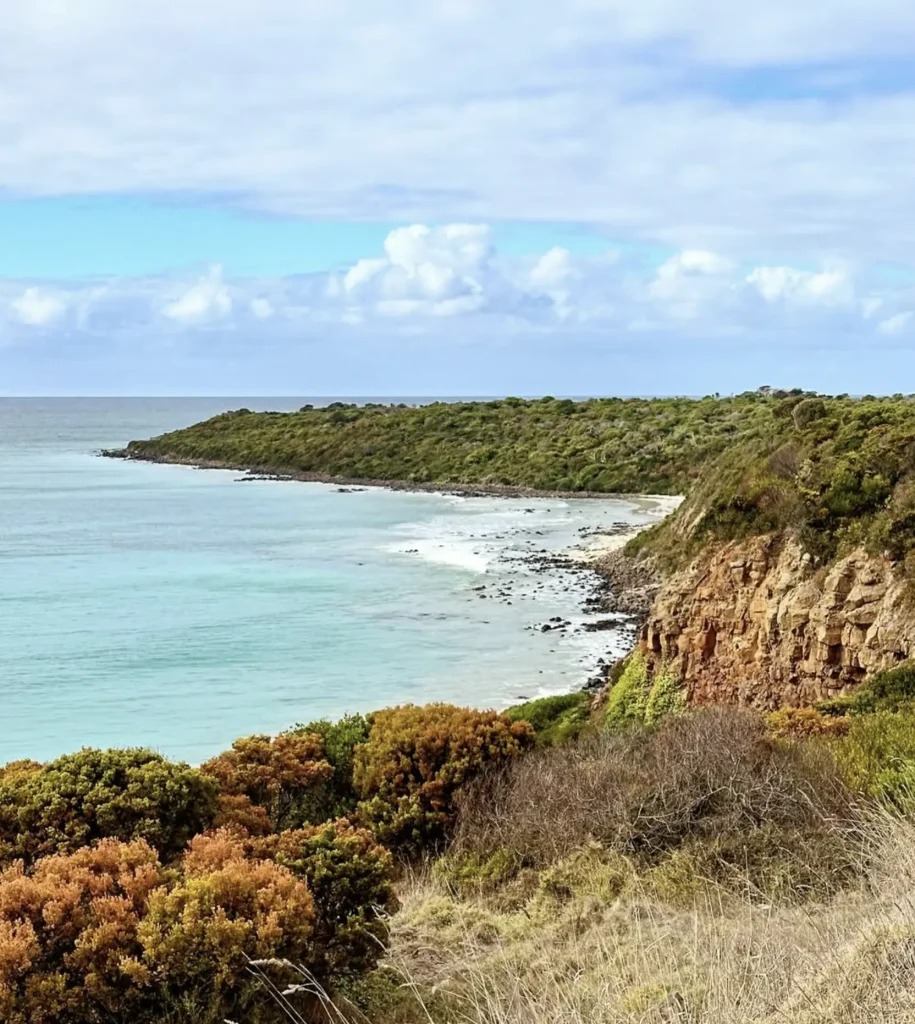 Cape Bridgewater