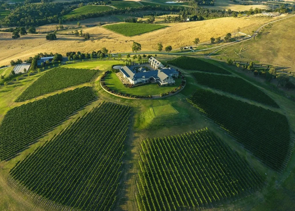 Levantine Hill Winery