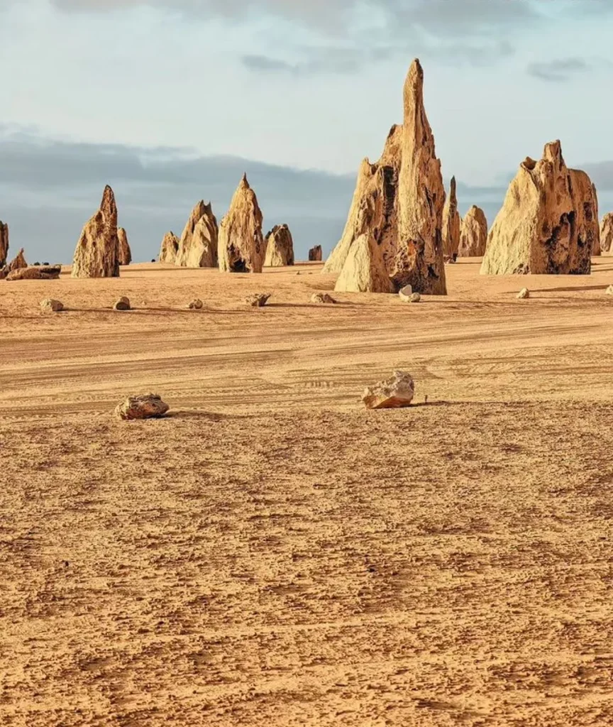 Pinnacles Desert