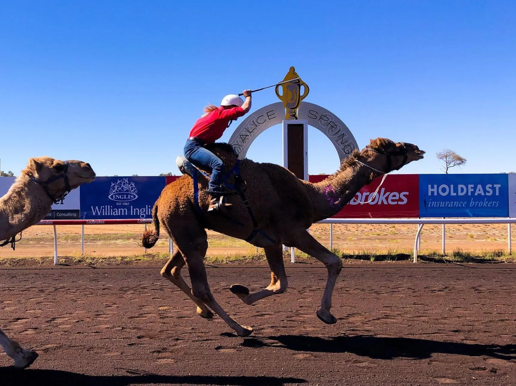 Alice Springs Camel Cup