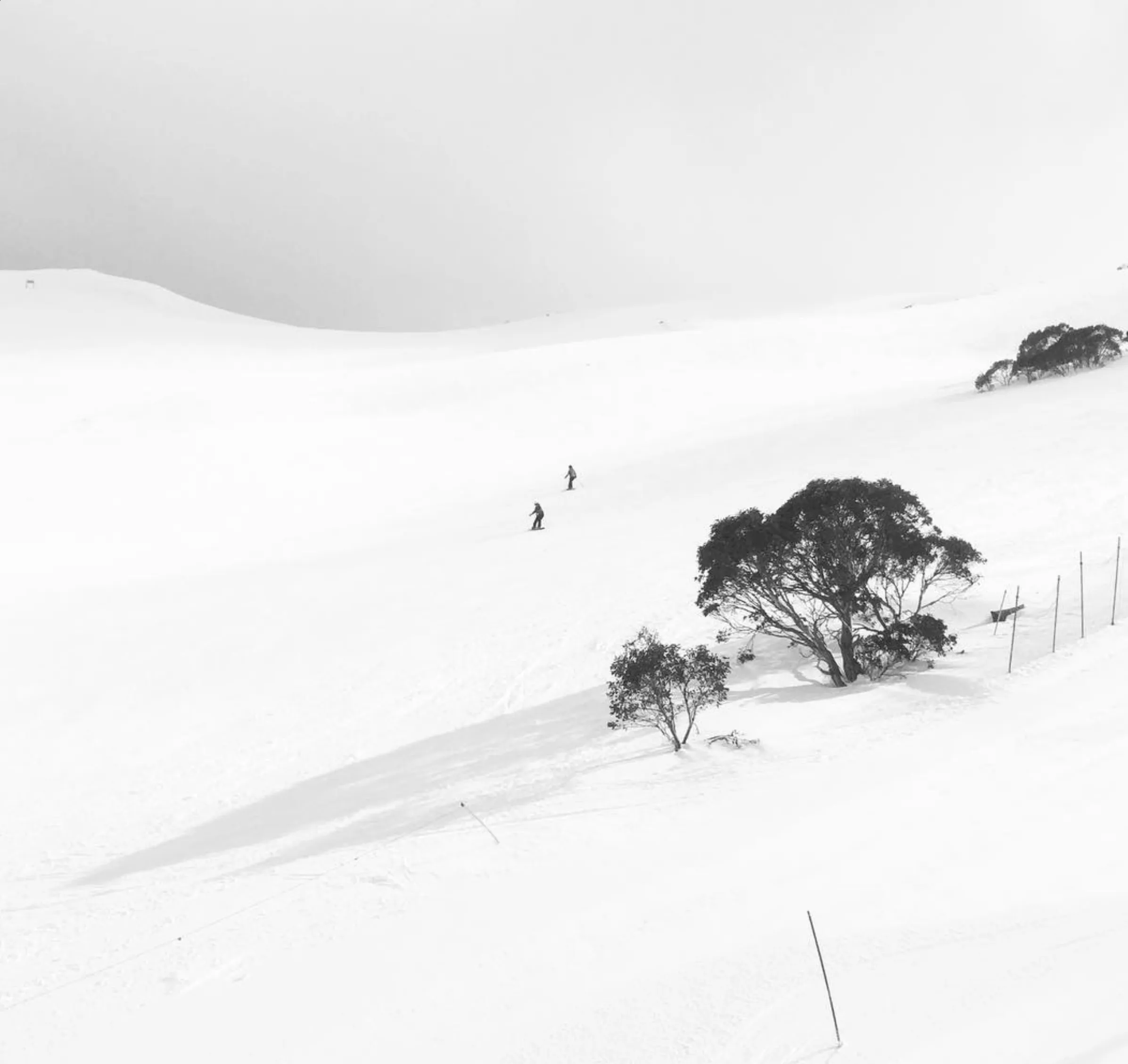 cold temperatures