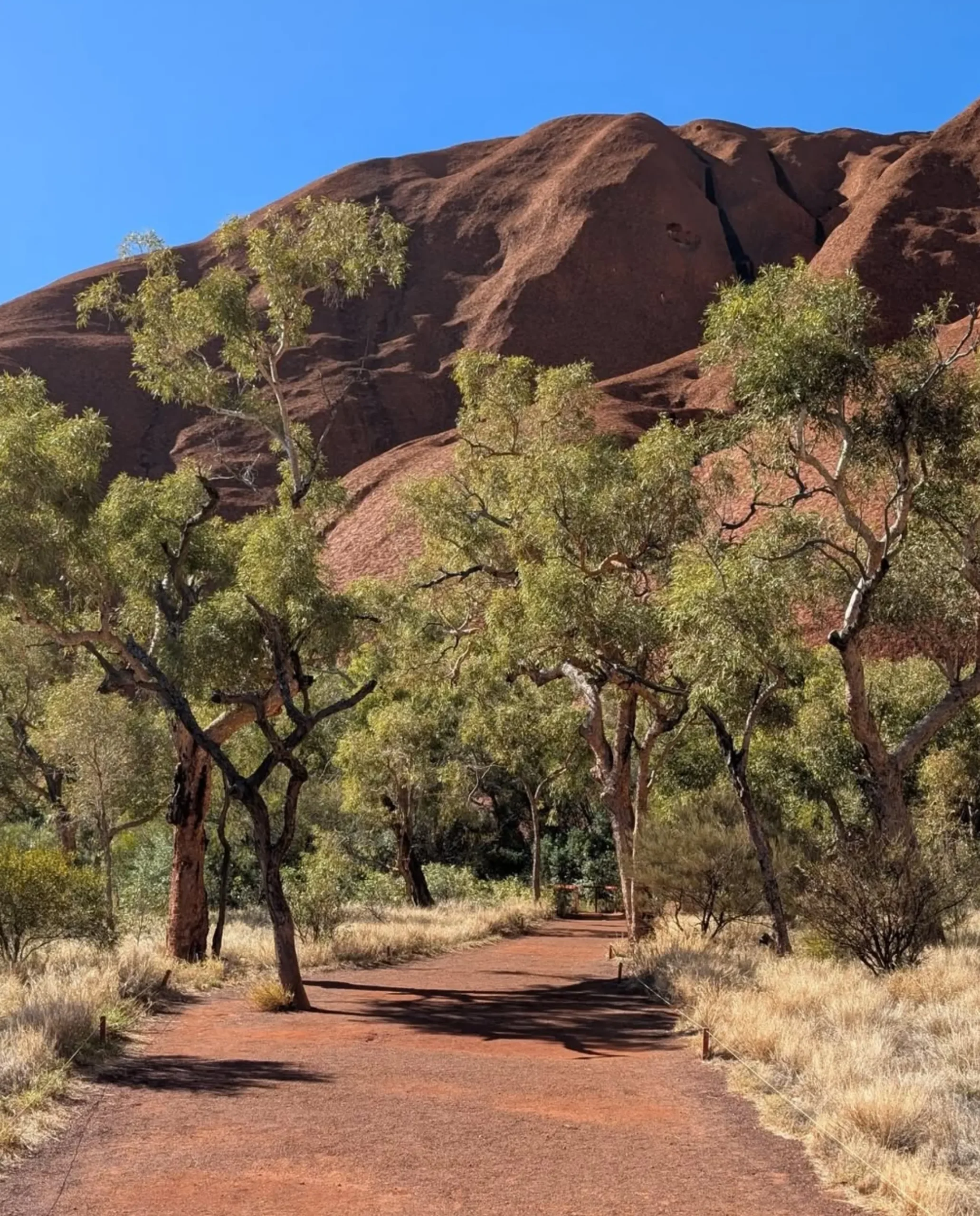 driving to Uluru from Alice Springs