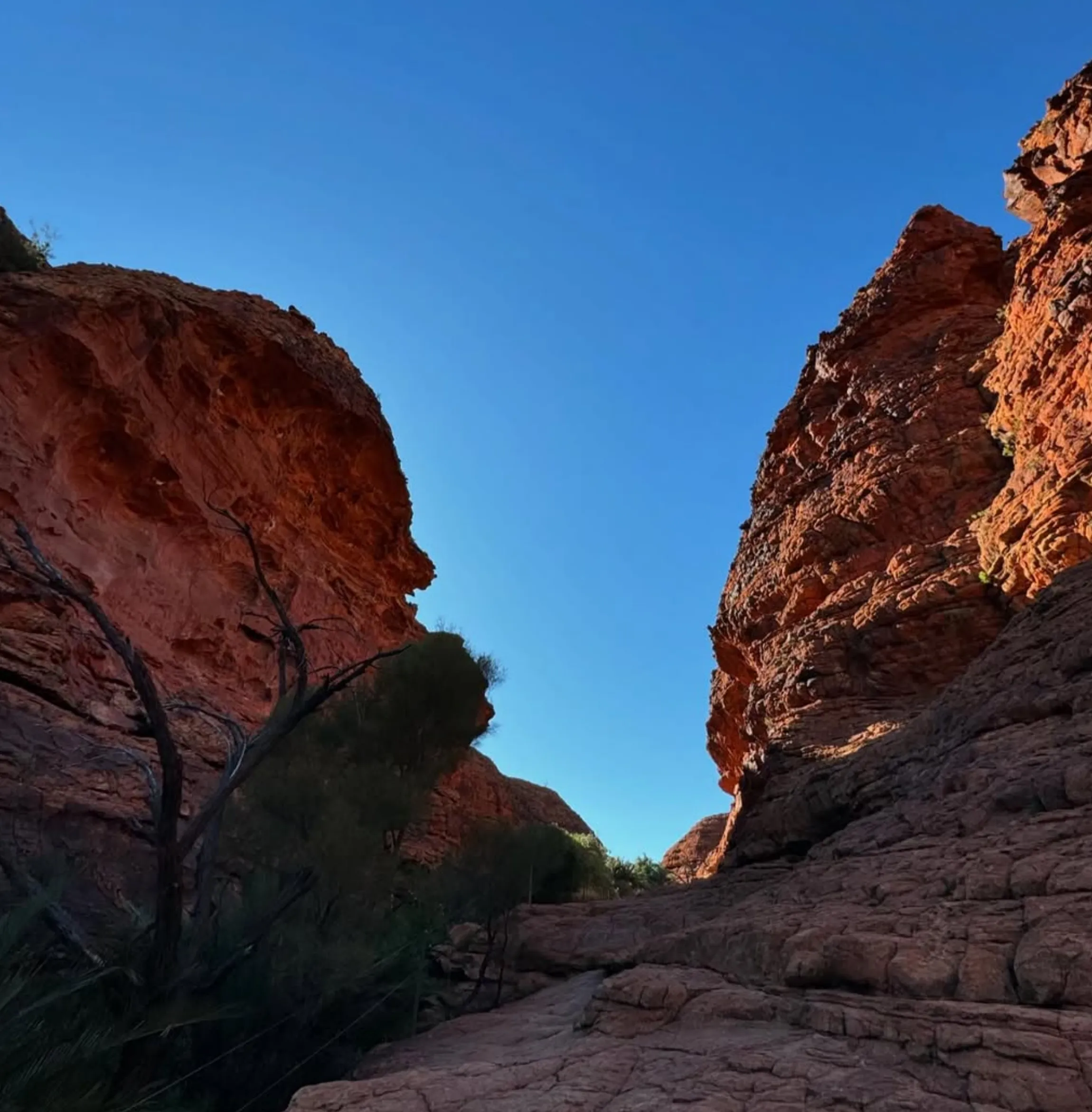 Uluru without a car