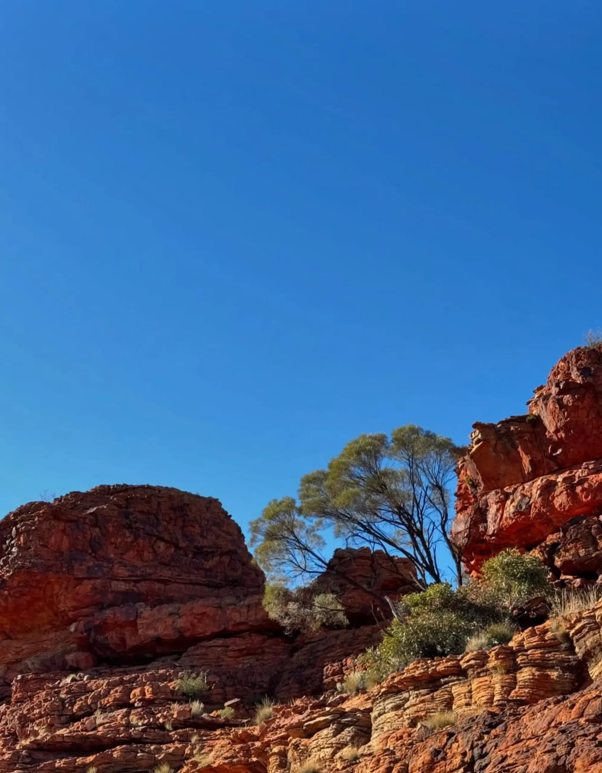 Uluru car hire
