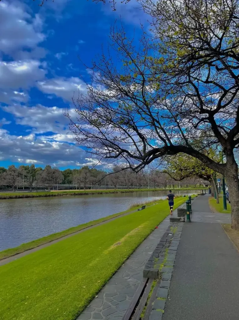 7 Things to Do in the Yarra Valley if You Don’t Drink