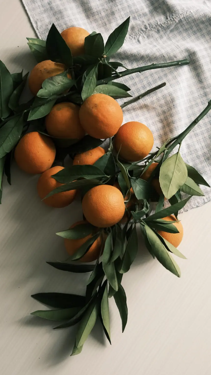 vitamin c serum results