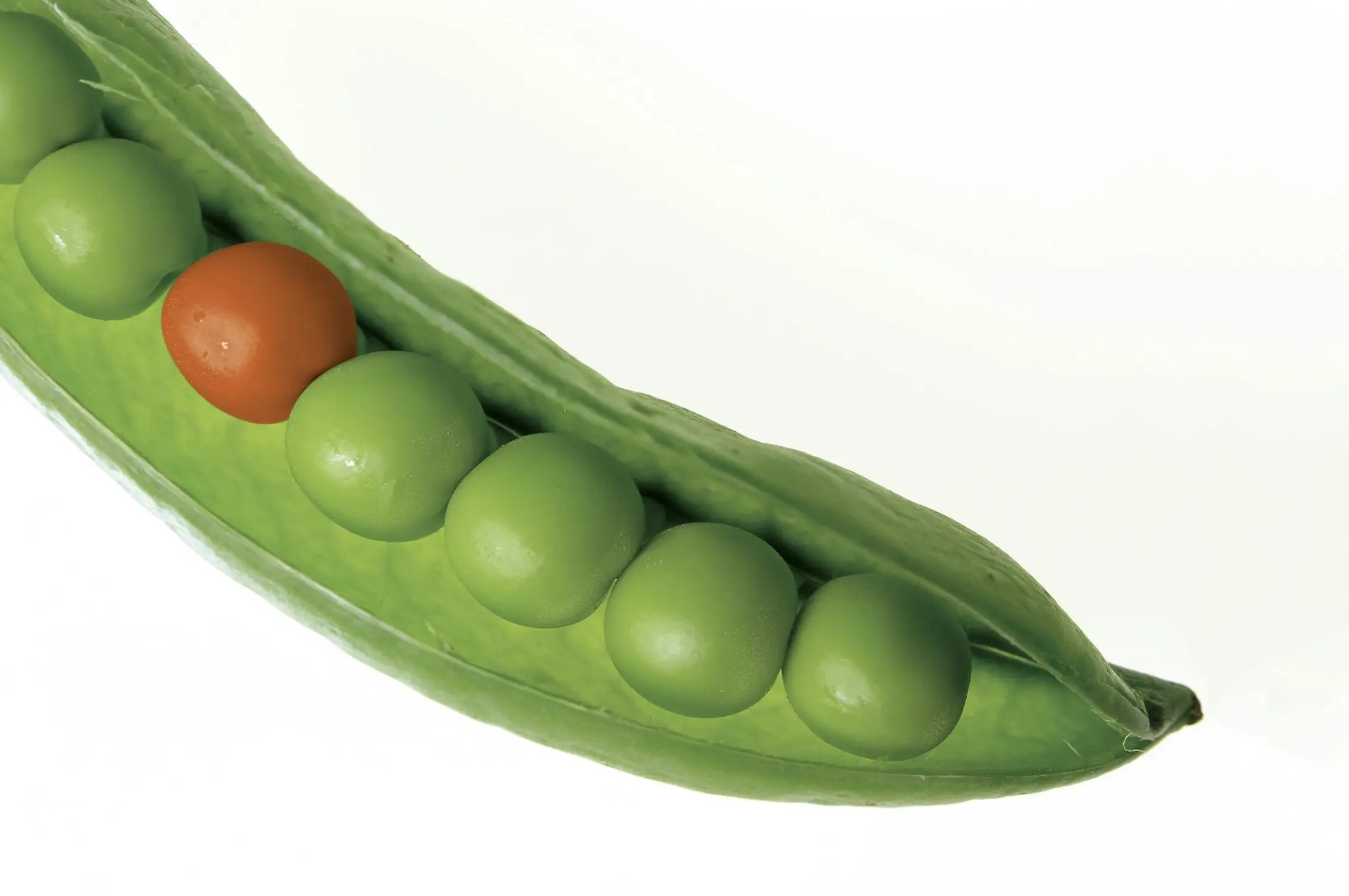 where does vitamin c come from