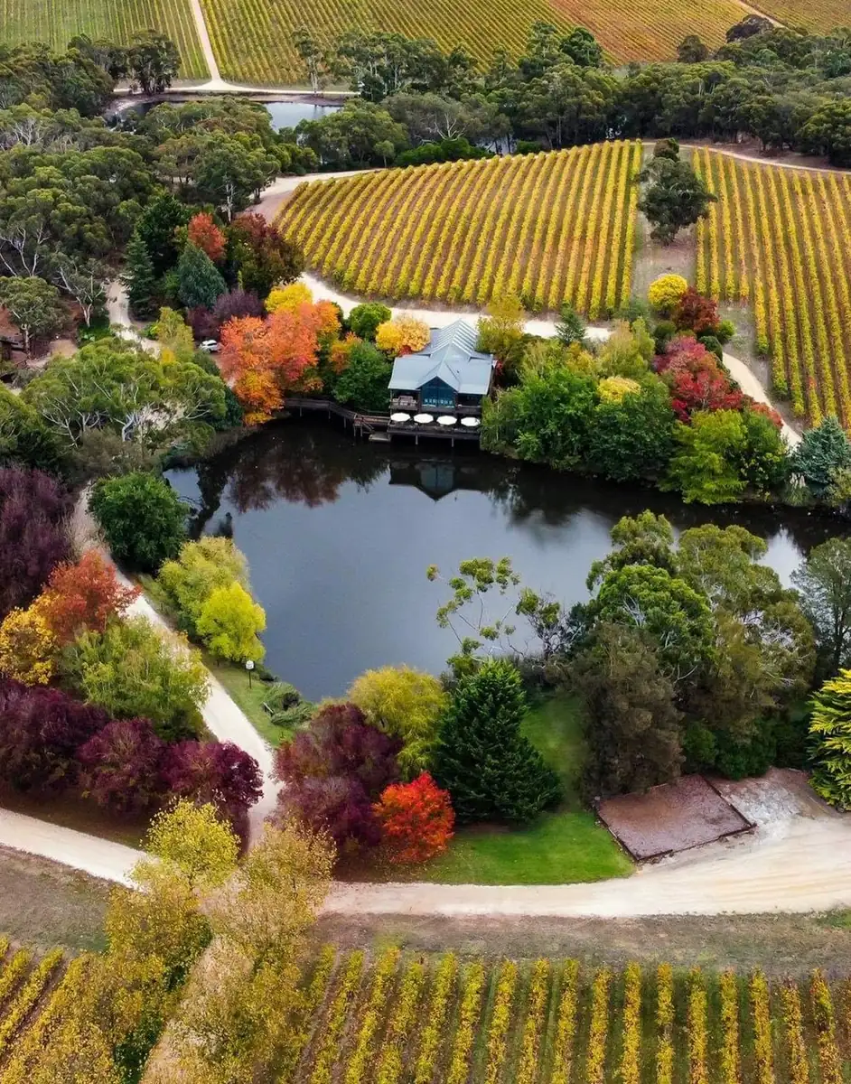 Why Some Cellar Doors Stay Busy Or Quiet